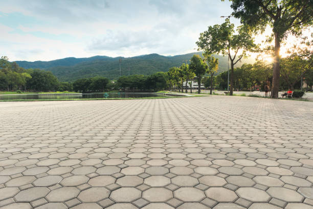 Best Driveway Paving Contractor  in Carney, MD